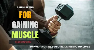 Is Herbalife Effective for Muscle Gain? A Comprehensive Review