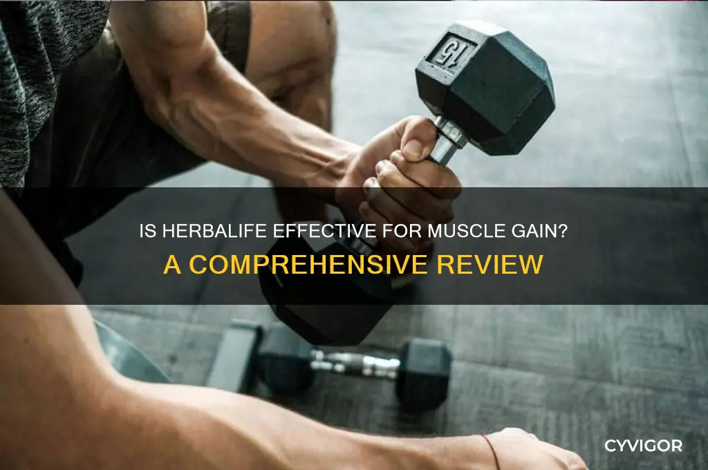 is herbalife good for gaining muscle