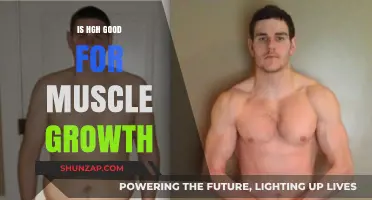 Is HGH Effective for Muscle Growth? Benefits, Risks, and Facts