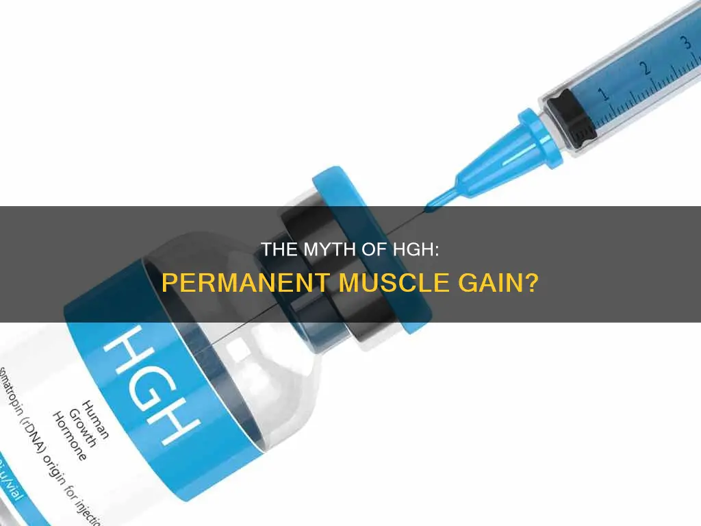 is hgh muscle permenany