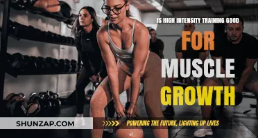 High-Intensity Training: Effective Strategy for Muscle Growth or Overkill?