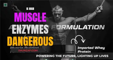 Muscle Enzymes: High Levels, Are They Dangerous?