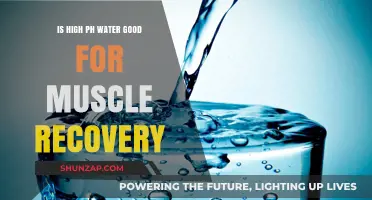 High pH Water Benefits: Enhancing Muscle Recovery Post-Workout?