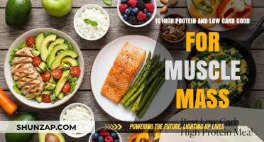 High Protein, Low Carb: Optimal for Muscle Mass or Myth?