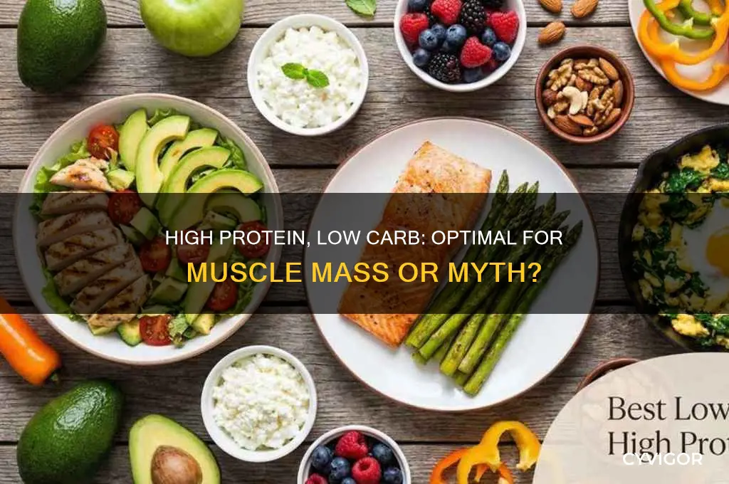 is high protein and low carb good for muscle mass