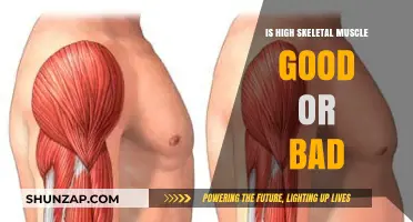 High Skeletal Muscle Mass: Benefits, Risks, and Optimal Health Balance