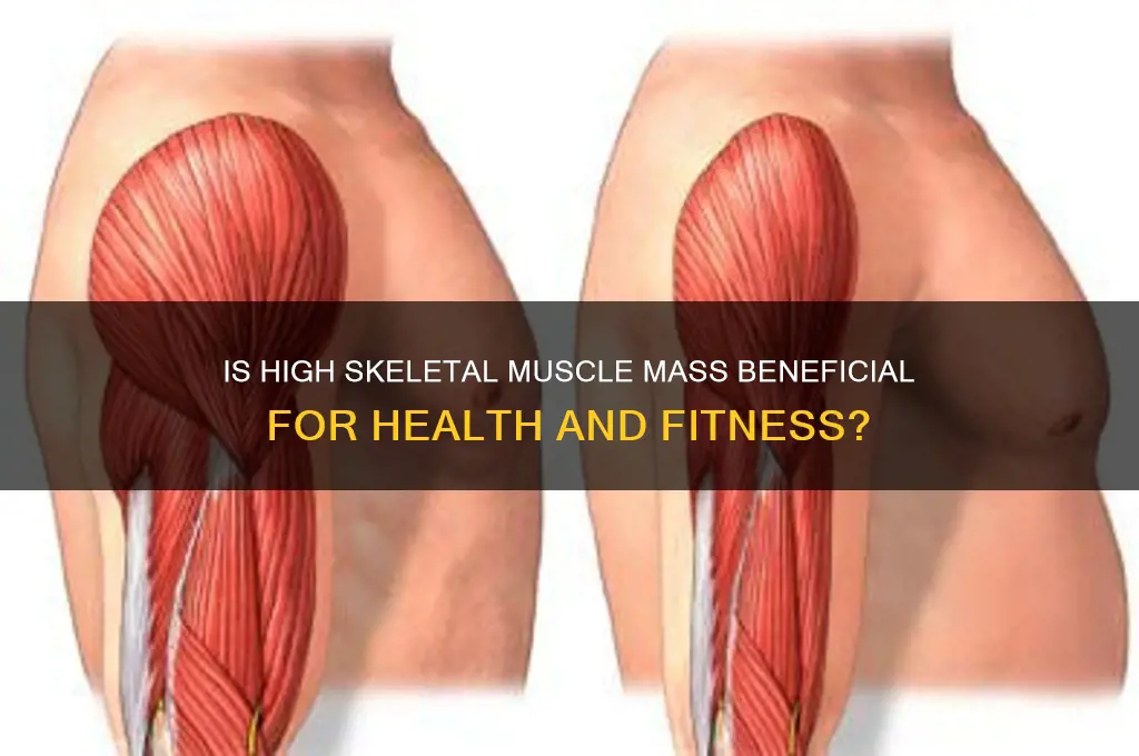is high skeletal muscle good