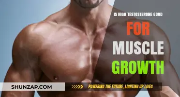 High Testosterone Levels: Unlocking Muscle Growth Potential and Benefits