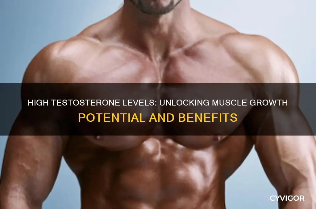 is high testosterone good for muscle growth