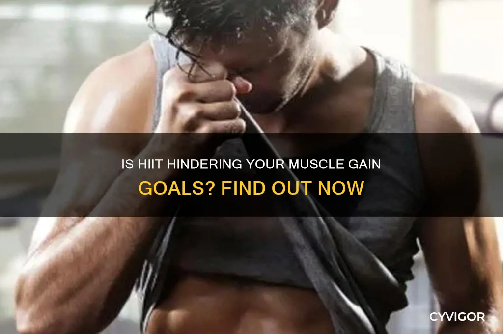 is hiit bad for muscle gain