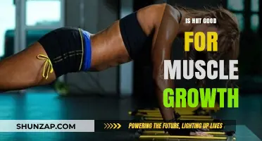 HIIT for Muscle Growth: Effective Strategy or Overhyped Trend?