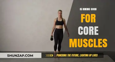 Hiking's Hidden Benefit: Strengthening Your Core Muscles Naturally