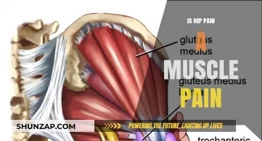 Is Hip Pain a Muscle Pain? Understanding Causes and Relief