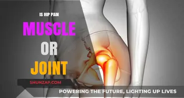 Hip Pain: Muscle Strain or Joint Issue? Understanding the Difference