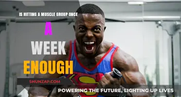 Is Weekly Muscle Group Training Sufficient for Optimal Growth?