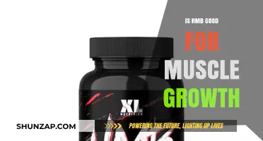 Is HMB Effective for Muscle Growth? Benefits and Science Explained