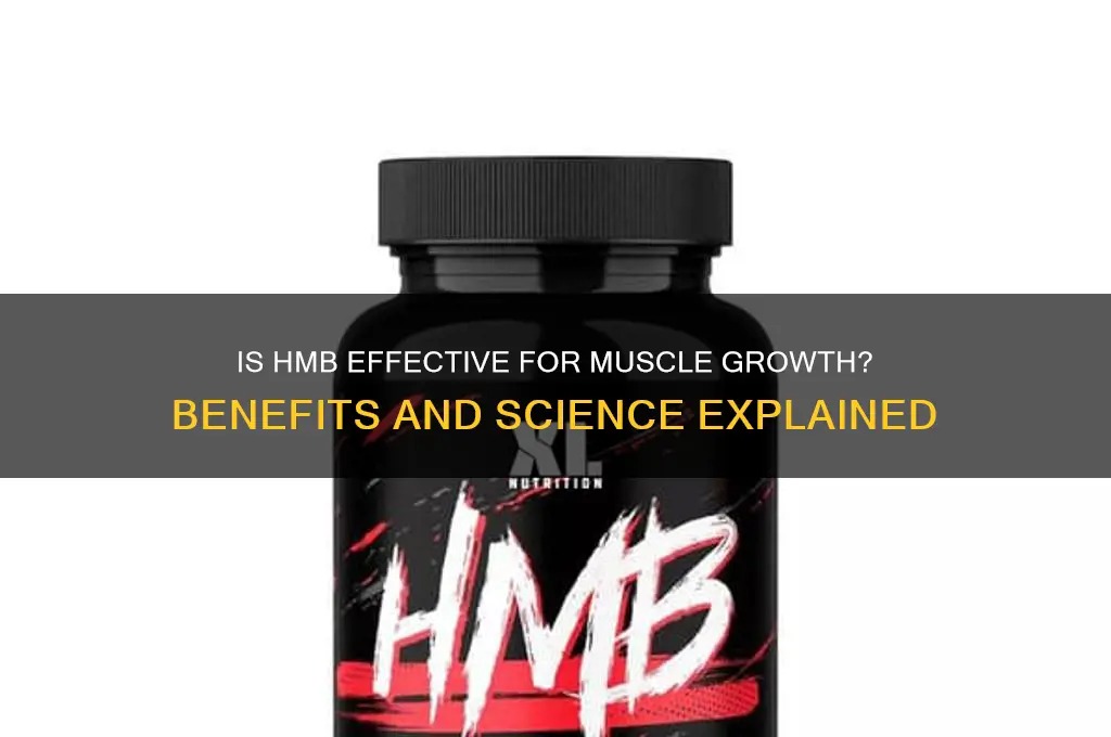 is hmb good for muscle growth