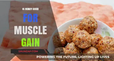Honey's Role in Muscle Gain: Benefits, Myths, and Effective Use