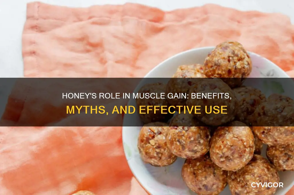 is honey good for muscle gain