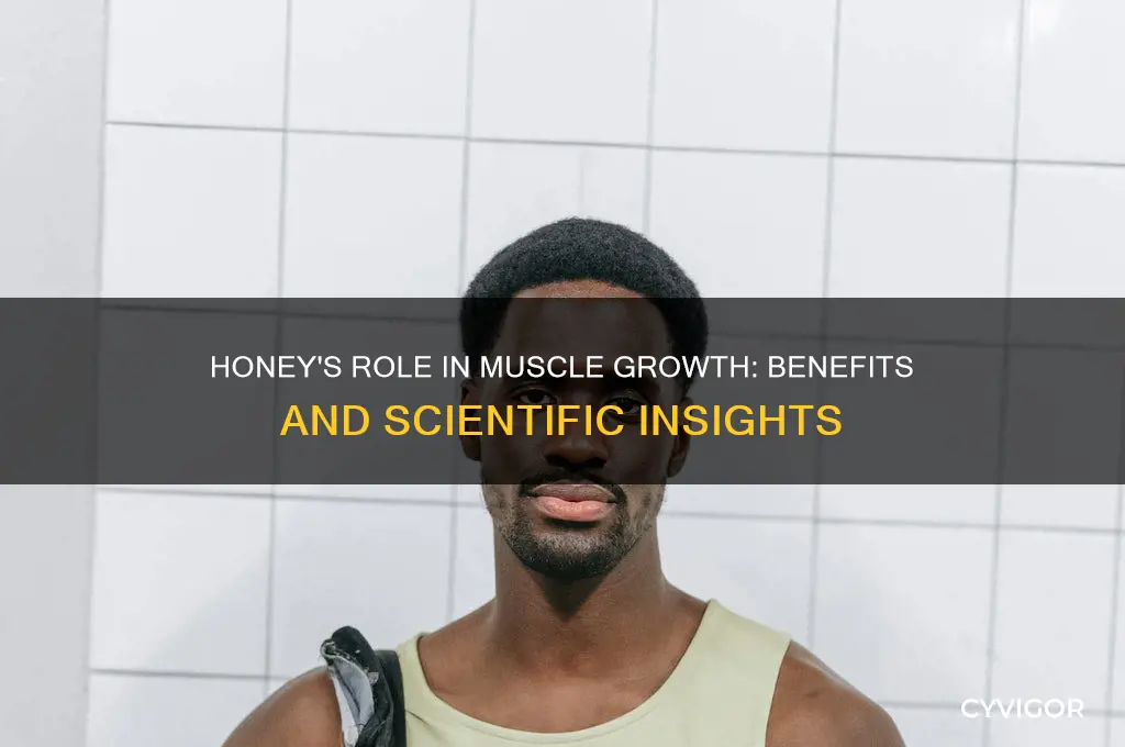 is honey good for muscle growth