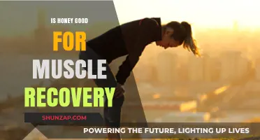 Honey's Healing Power: Boosting Muscle Recovery After Intense Workouts