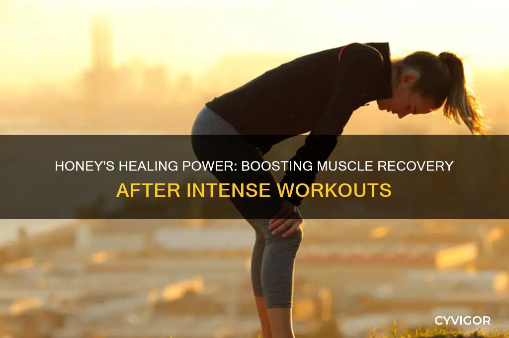 is honey good for muscle recovery