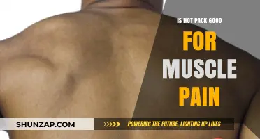 Hot Packs for Muscle Pain: Effective Relief or Temporary Fix?