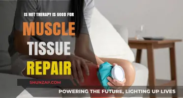 Hot Therapy Benefits: Enhancing Muscle Tissue Repair and Recovery