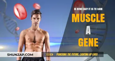 Is Muscle Gain Genetic? Unlocking the Role of Genes in Fitness