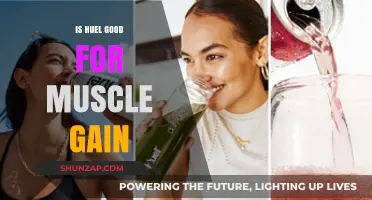 Is Huel Effective for Muscle Gain? A Comprehensive Review