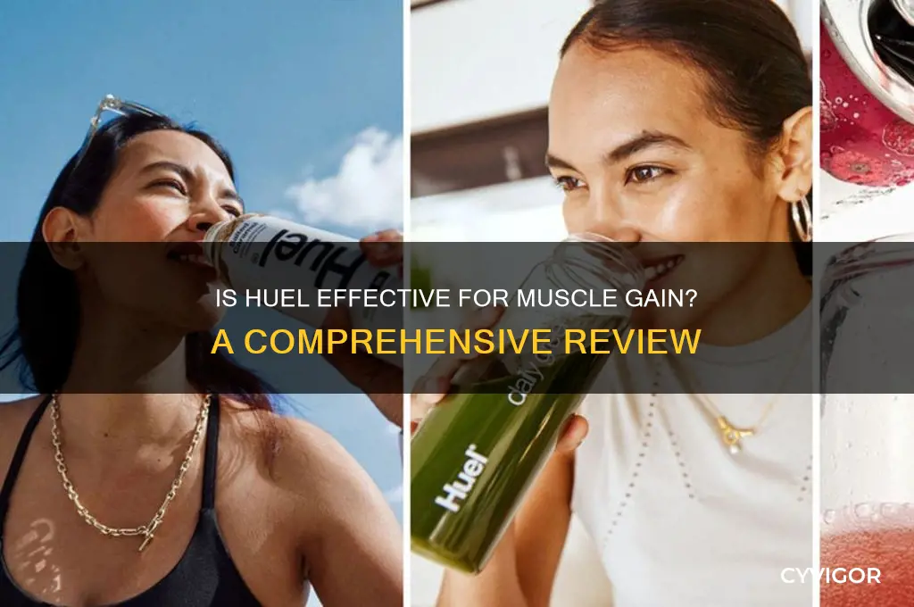 is huel good for muscle gain
