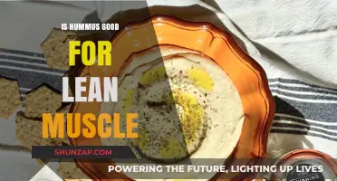 Hummus for Lean Muscle: A Nutritious Protein-Packed Snack Option