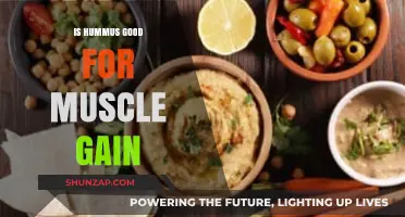 Hummus for Muscle Gain: A Protein-Packed Snack to Fuel Your Workouts