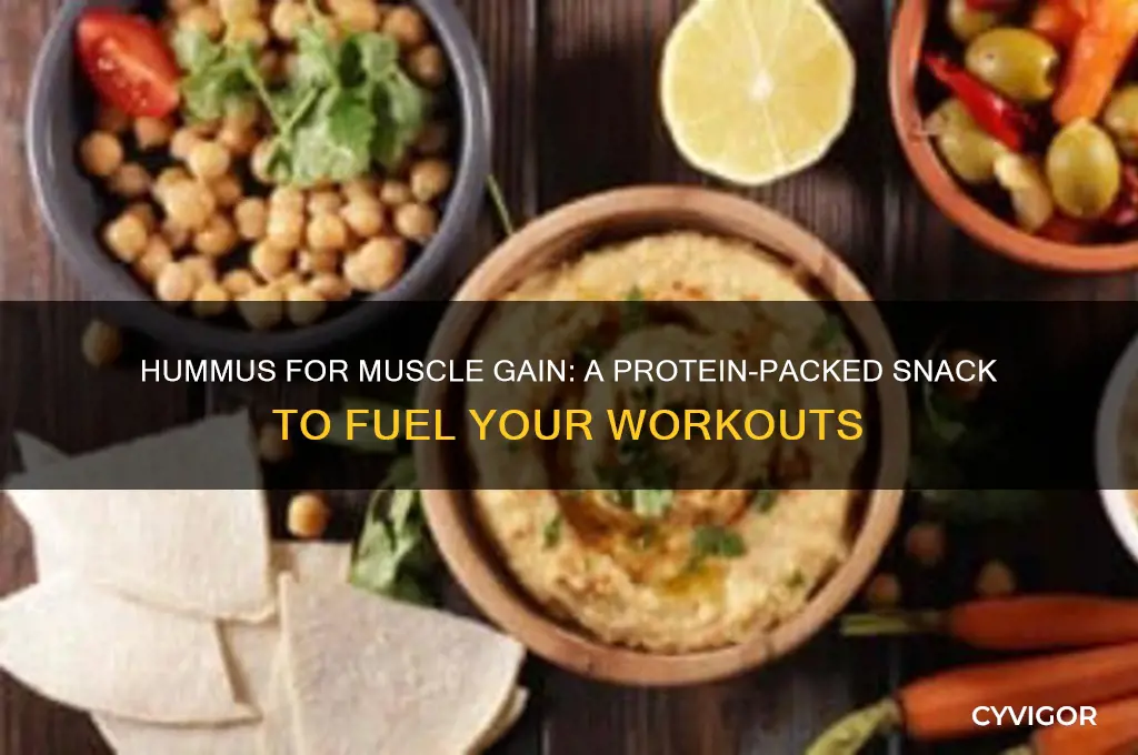 is hummus good for muscle gain