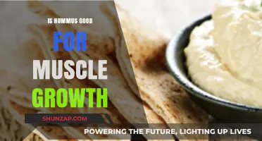 Hummus and Muscle Growth: A Nutritious Protein-Packed Snack for Fitness