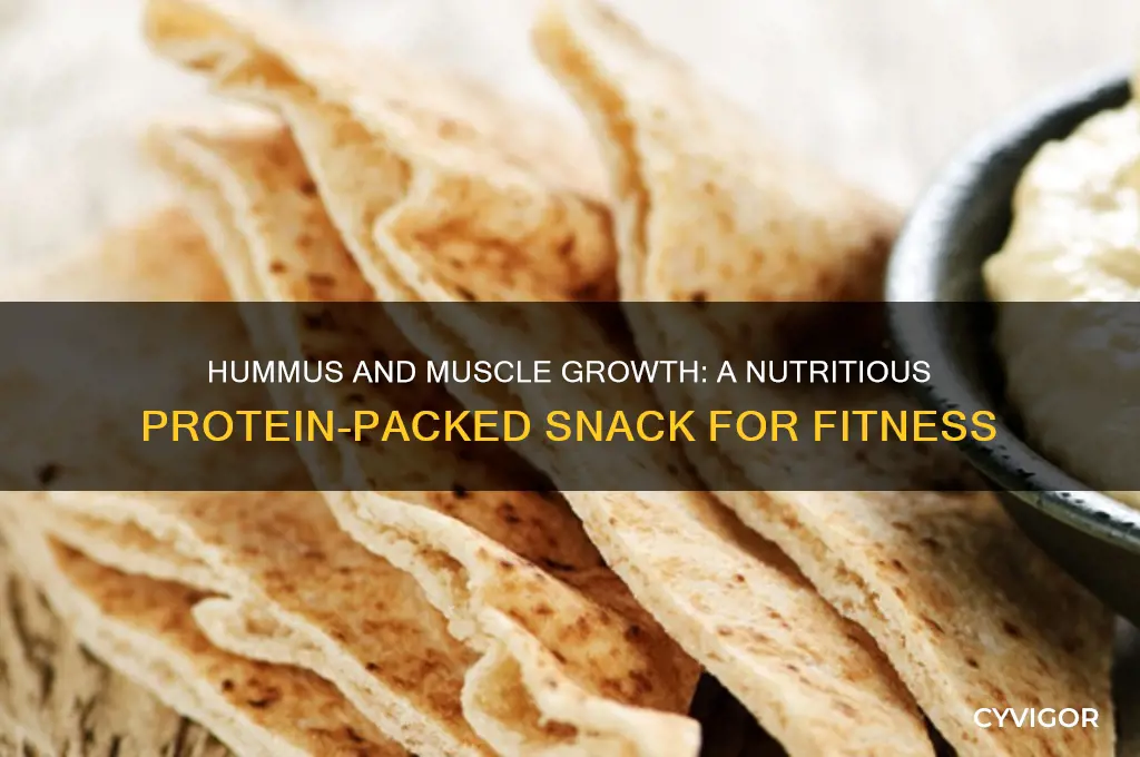 is hummus good for muscle growth