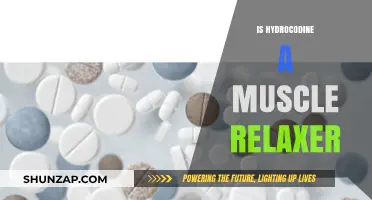 Is Hydrocodone a Muscle Relaxer? Understanding Its Uses and Effects