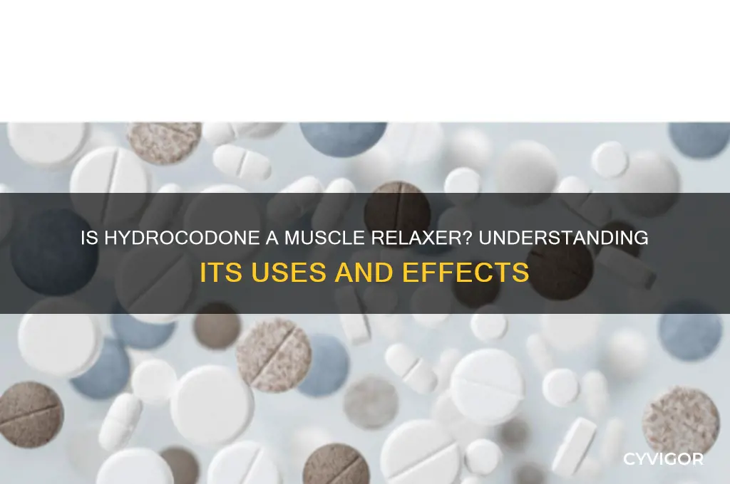 is hydrocodine a muscle relaxer