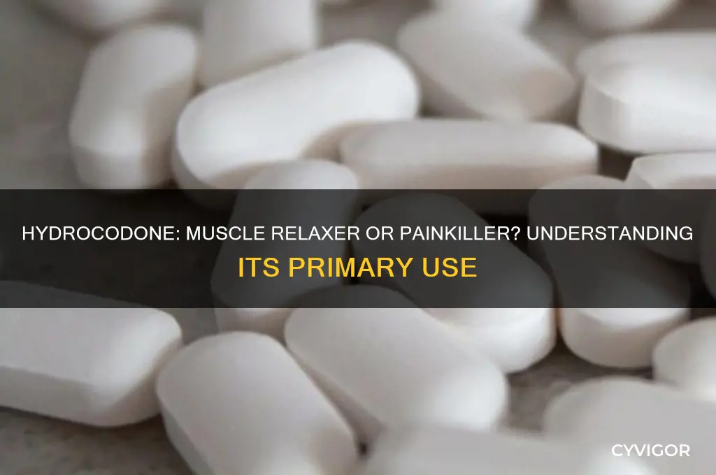 is hydrocodone a muscle relaxer or painkiller