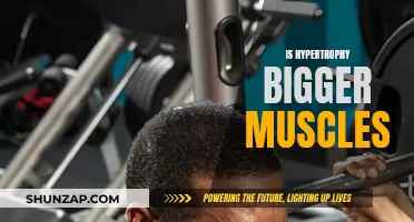 Hypertrophy Training: Building Bigger Muscles Scientifically