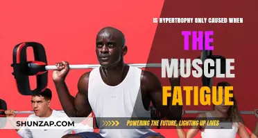 Muscle Fatigue and Hypertrophy: What's the Real Link?