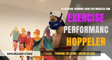 Hypoxia Training: Boosting Muscle Performance and Exercise Efficiency?