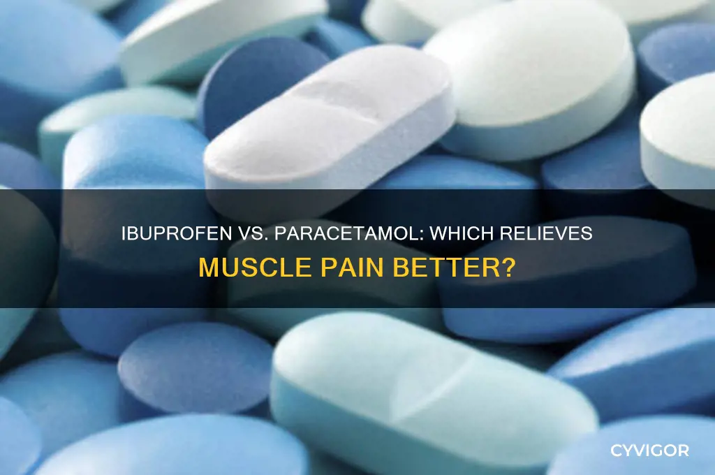 is ibuprofen better than paracetamol for muscle pain