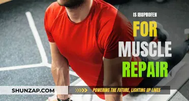 Muscle Repair and Ibuprofen: What's the Science Say?