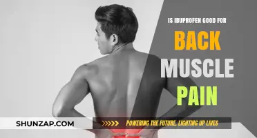 Is Ibuprofen Effective for Relieving Back Muscle Pain? Find Out
