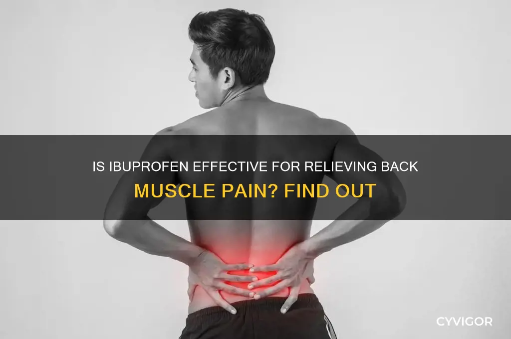 is ibuprofen good for back muscle pain