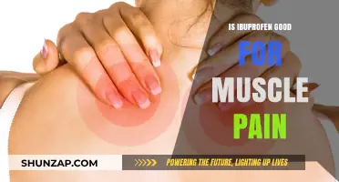 Is Ibuprofen Effective for Muscle Pain Relief? A Comprehensive Guide