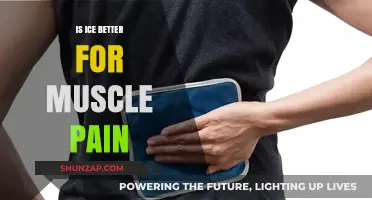 Is Ice the Best Remedy for Muscle Pain? Discover the Truth