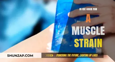 Is Ice Effective for Treating Muscle Strains? Expert Insights Revealed