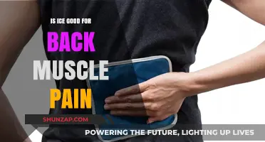 Is Ice Therapy Effective for Relieving Back Muscle Pain?